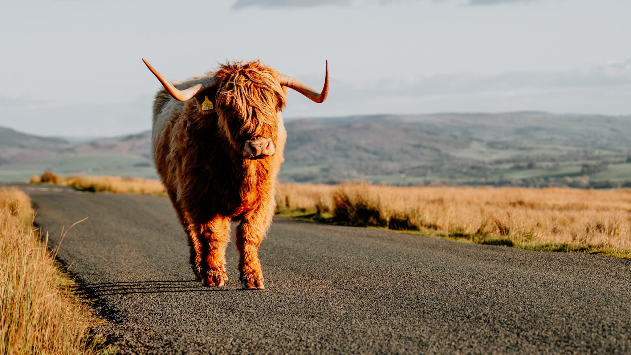 Heading for the Highlands